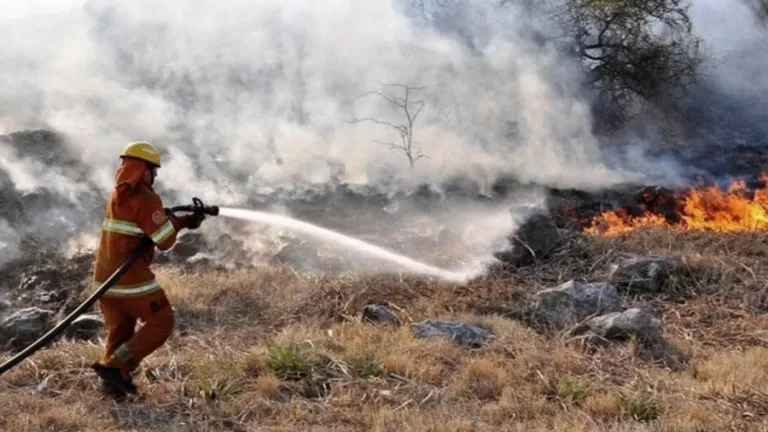 Un total de seis focos de incendios forestales fueron extinguidos en todo el país