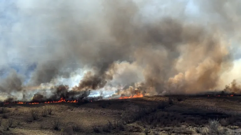 En medio de los incendios, Diputados empieza a tratar en comisión la Ley de Humedales