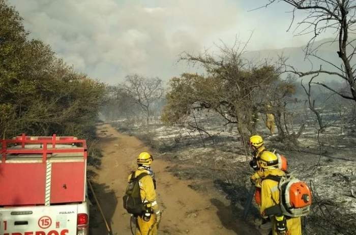 Jujuy: 5 mil hectáreas de bosque fueron arrasadas por el fuego