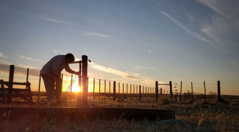 La prestación por desempleo para trabajadores rurales acumula un incremento interanual de 168%