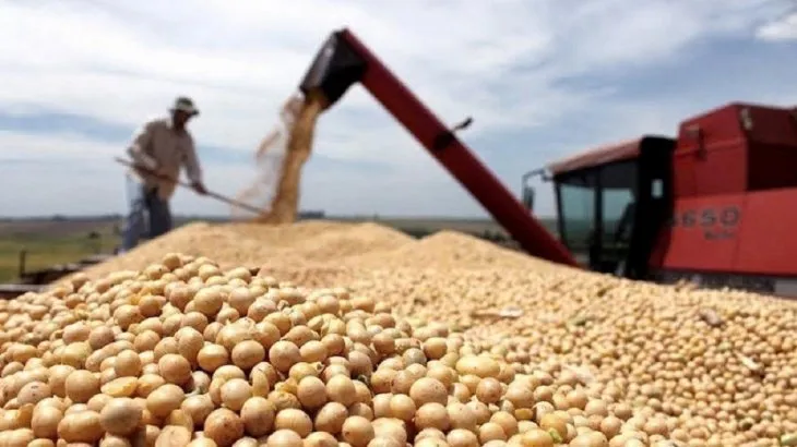 Dispar comportamiento de complejos exportadores de Corrientes durante el 1° semestre