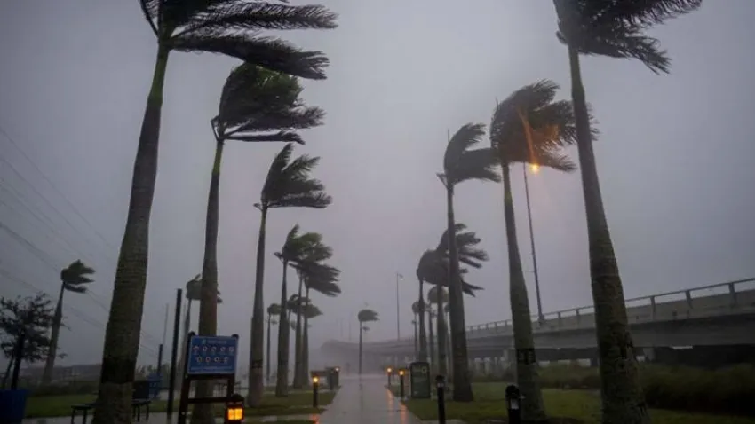 Huracán Ian: Tiburón nadando por las calles en Florida