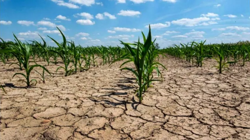 Sequía e incertidumbre en el campo: casi el 70% de los productores espera un 2023 peor que este año