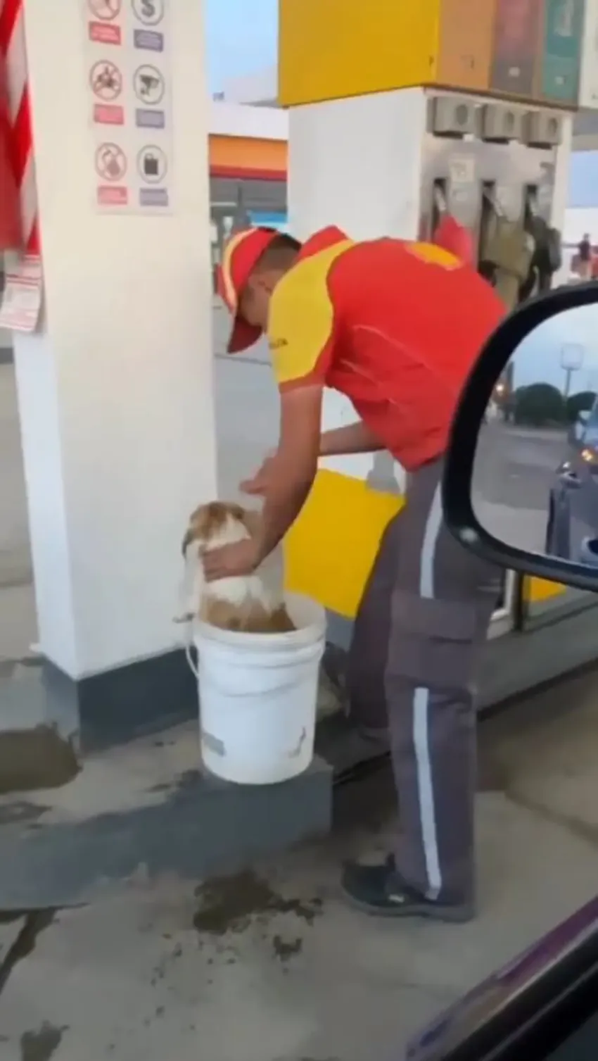 Las estaciones de servicio deberán exhibir información de mezclas de combustibles