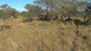 El campo correntino espera una prórroga de la emergencia agropecuaria