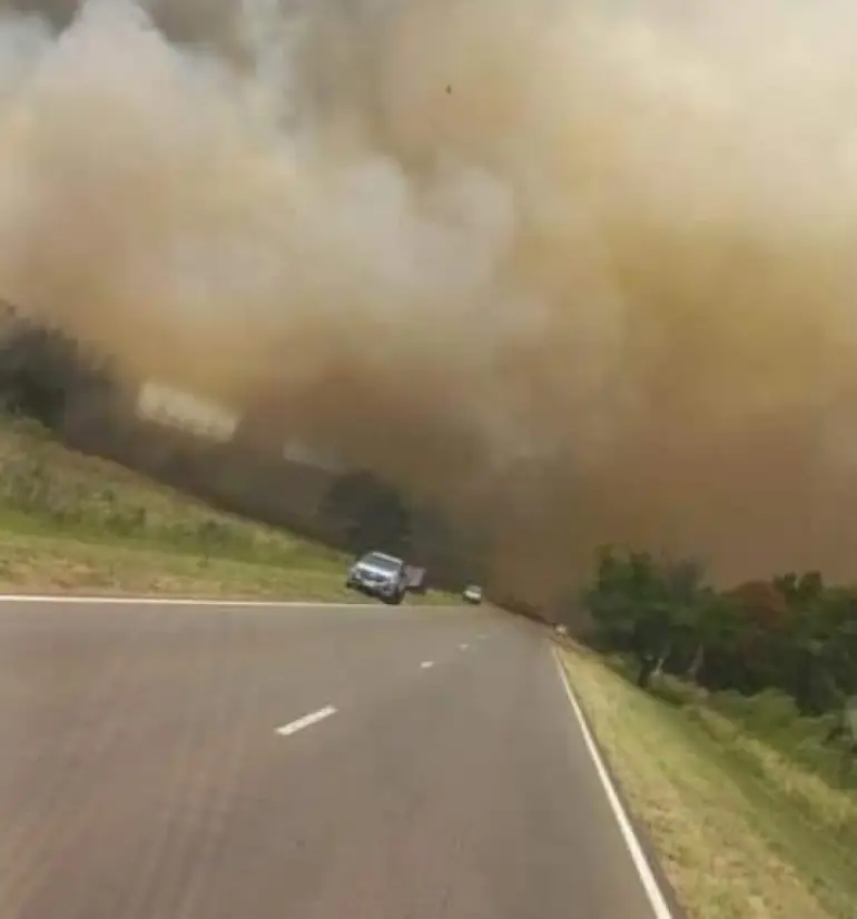 Se mantienen focos activos en Corrientes, Entre Ríos, Neuquén y Río Negro