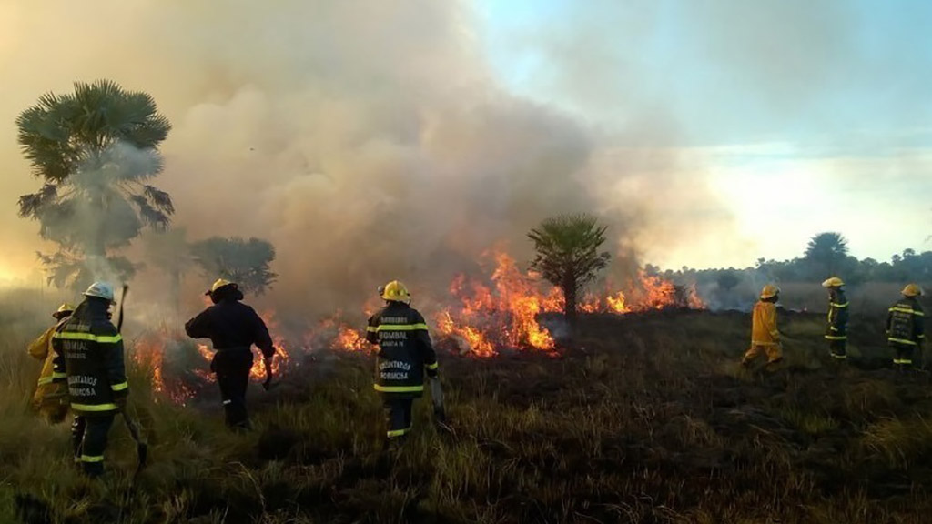 Se registraron 10 focos de incendio en la Provincia de Corrientes