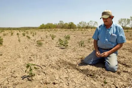 Afirman que casi un 60% del territorio argentino está afectado por la sequía