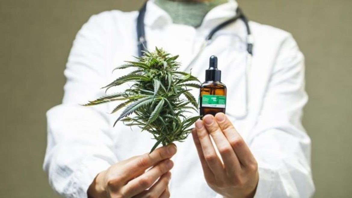 Cannabis medicinal: asesoran a pacientes en el dosaje y utilización del aceite