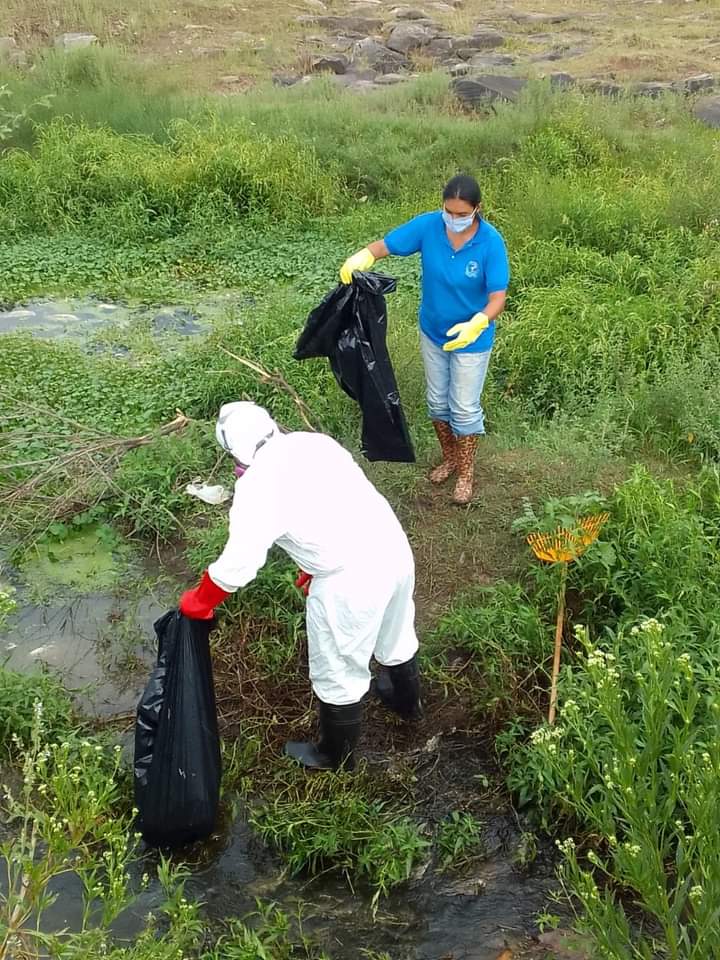 Limpieza del Arroyo “Las Garzas” a cargo de la municipalidad