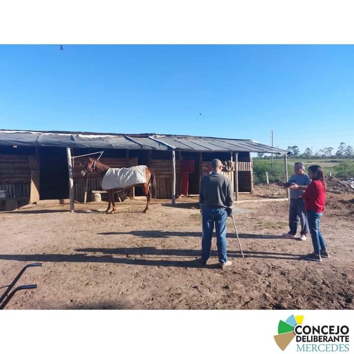Concejo Deliberante: recorrieron y visitaron el Stud del Sr Meza