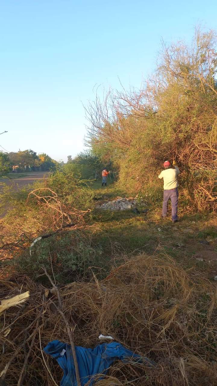 Intensos trabajos de mejoras y mantenimiento en la ciudad