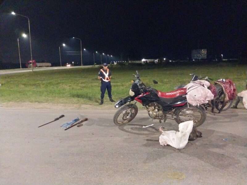 4 detenidos con un chancho salvaje y armas de fuego