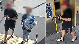 Acusado de secuestrar a un ornitorrinco: lo llevó a pasear a un centro comercial
