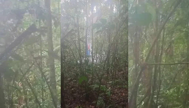 Colombia: encontraron a 4 niños que quedaron perdidos en la selva tras un accidente aéreo