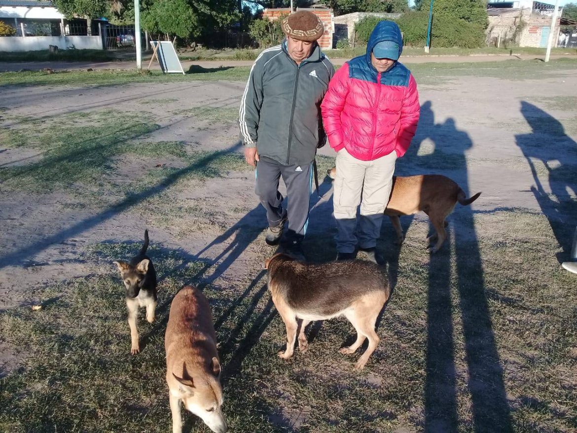 Gracias a la gestión municipal de Tape Caram, estas vacunaciones fundamentales en mascotas son totalmente gratuitas.