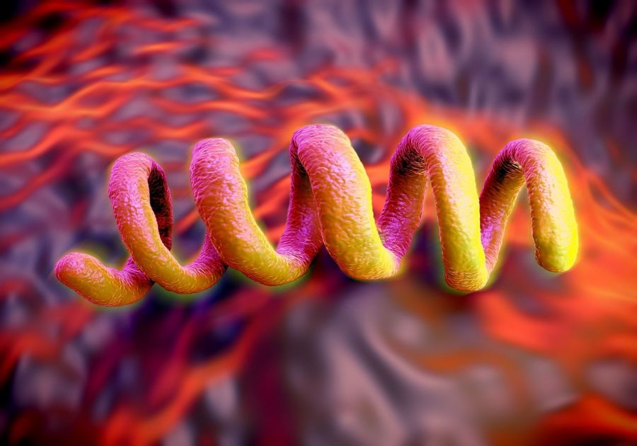Salud recuerda que la Sífilis es una enfermedad curable y de fácil tratamiento