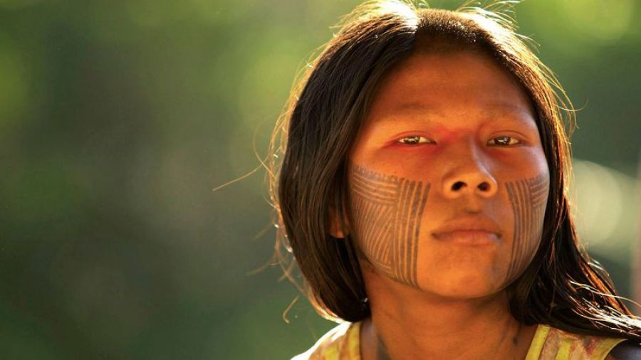 Un encuentro con la lengua y la cultura guaraní