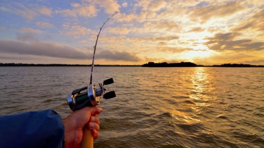 Disponen veda total de pesca en un área del río Paraná