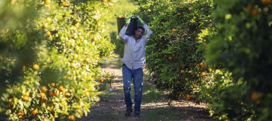 Coninagro expresa preocupación por alta carga fiscal sobre las economías regionales