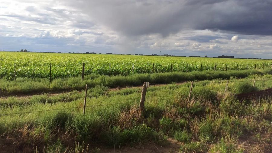 Corrientes con reservas adecuadas de agua en un contexto de déficit hídrico nacional