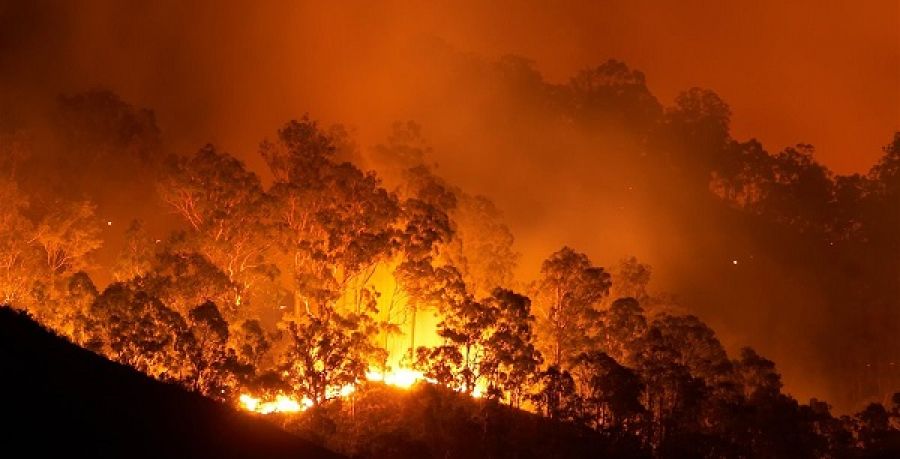 Australia bajo decenas de incendios