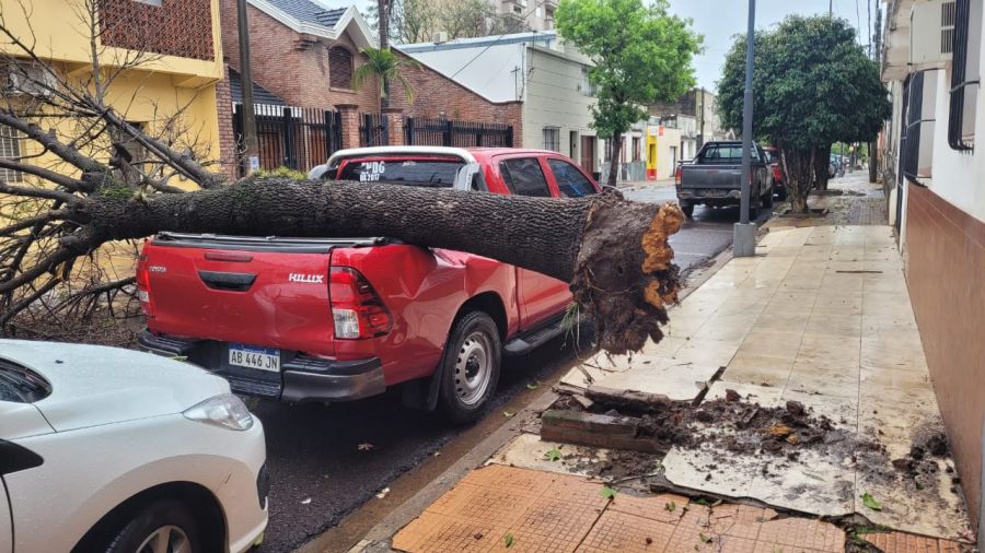 Lluvias e intensos vientos causaron destrozos en la Ciudad de Corrientes