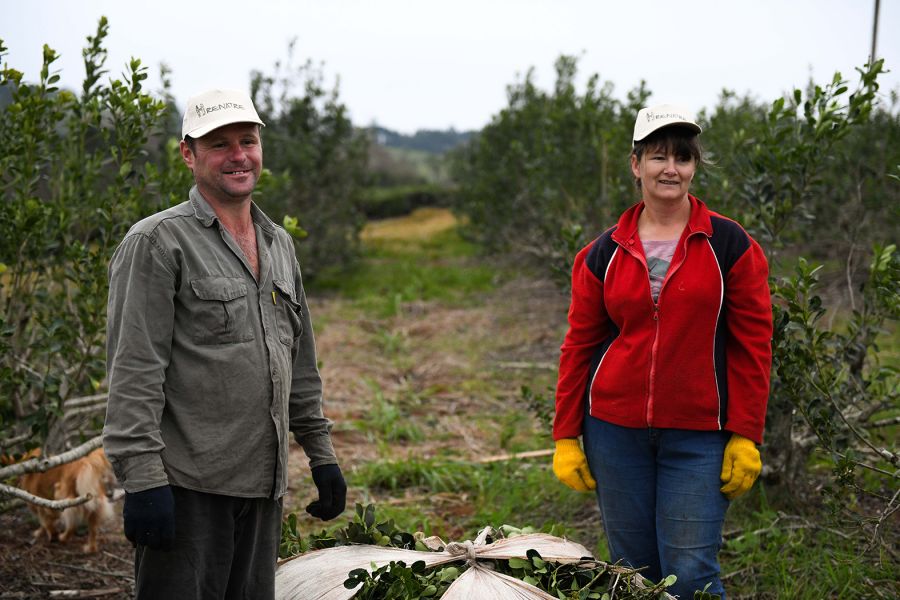 Aumenta la prestación por desempleo para trabajadores rurales a $70.200