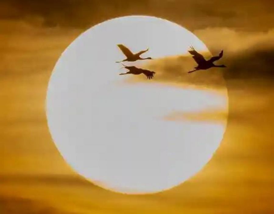 El Sol es más pequeño de lo que creíamos