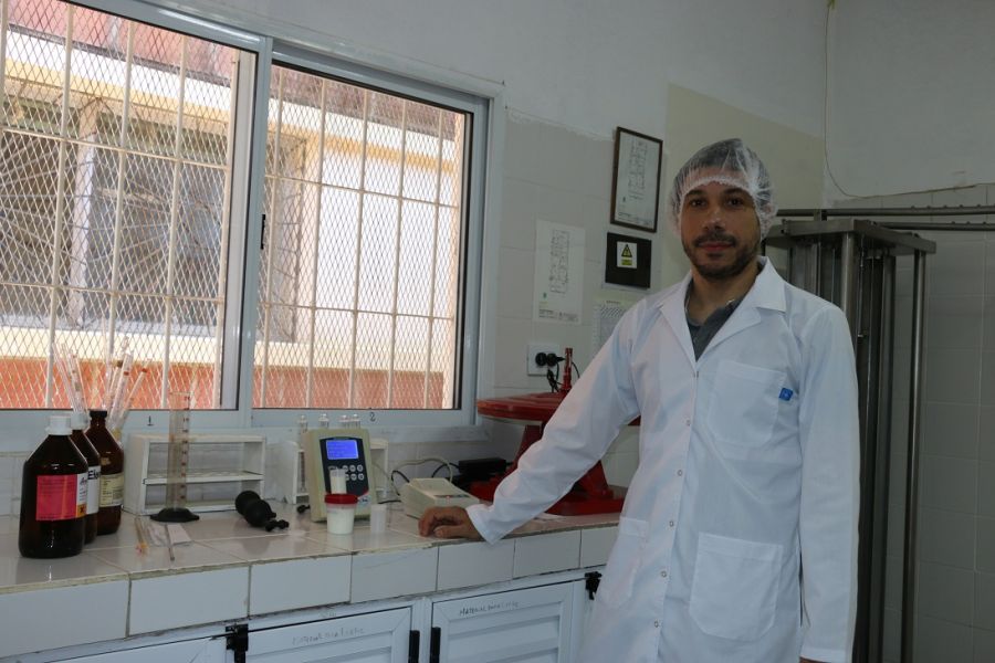 Investigación propone impulsar en industria y el comercio de lácteos la leche de búfala