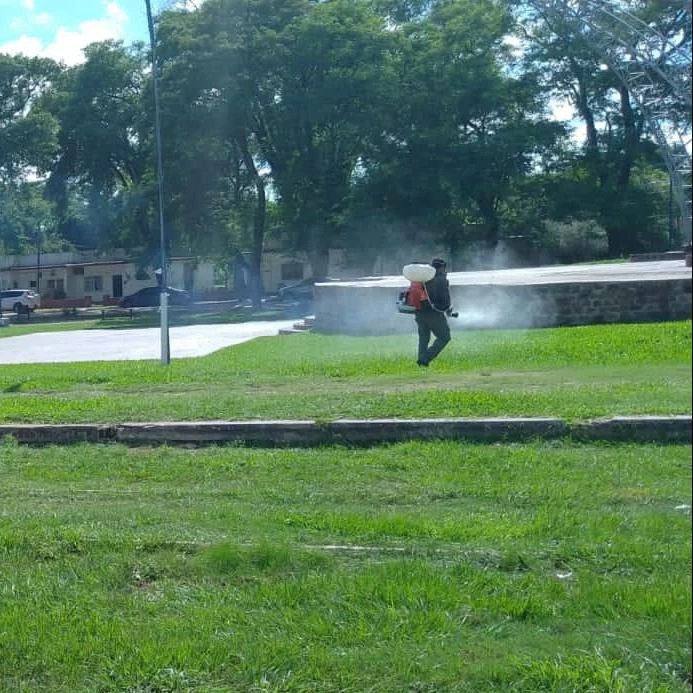 Fumigación en Mercedes
