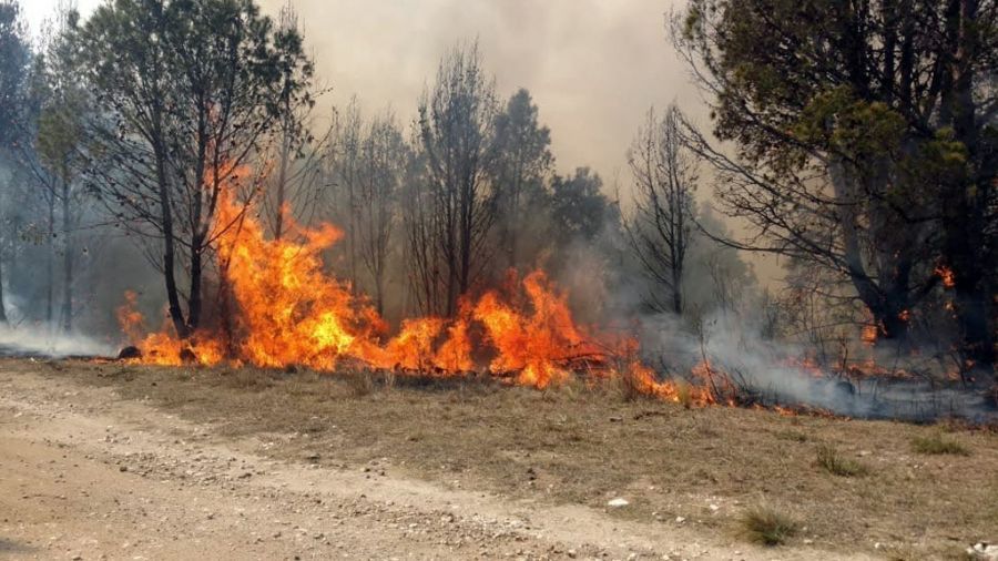 75 incendios activos complican situacion en Guatemala