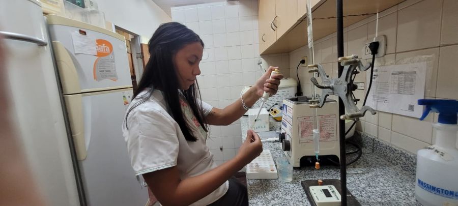 Sientan las bases de una nueva terapia para la mordedura de yarará