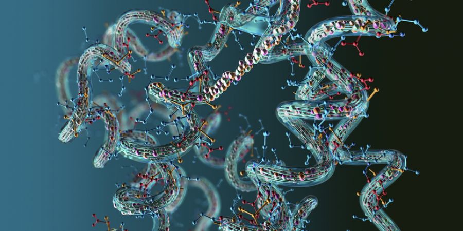 El exceso de proteínas daña las arterias, según científicos