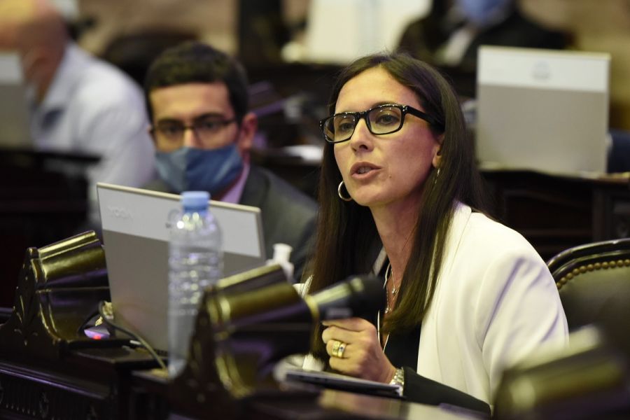 Insisten en el Congreso por por la terminación de una autovía en Corrientes