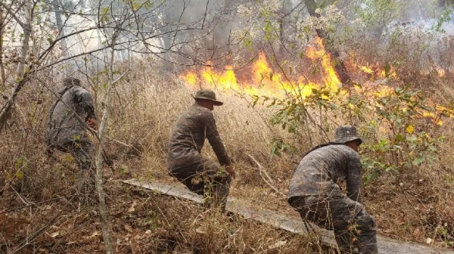Guatemala dicta estado de calamidad por incendios forestales