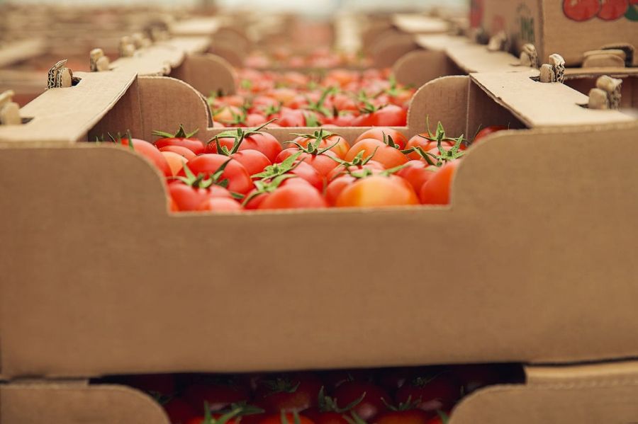 Organizaciones agrarias expresan preocupación ante facilidades para la importación de alimentos