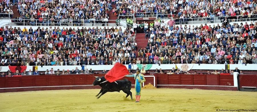 Colombia aprueba proyecto de ley que prohíbe las corridas de toros