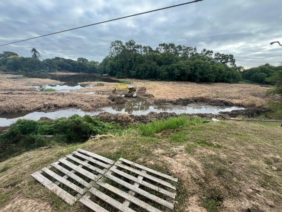 Regatas Resistencia limpia la costa del Río Negro