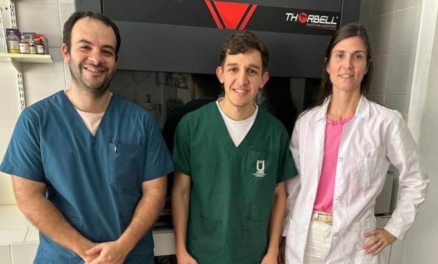 Buscan descifrar la composición de las pasturas tóxicas para el ganado