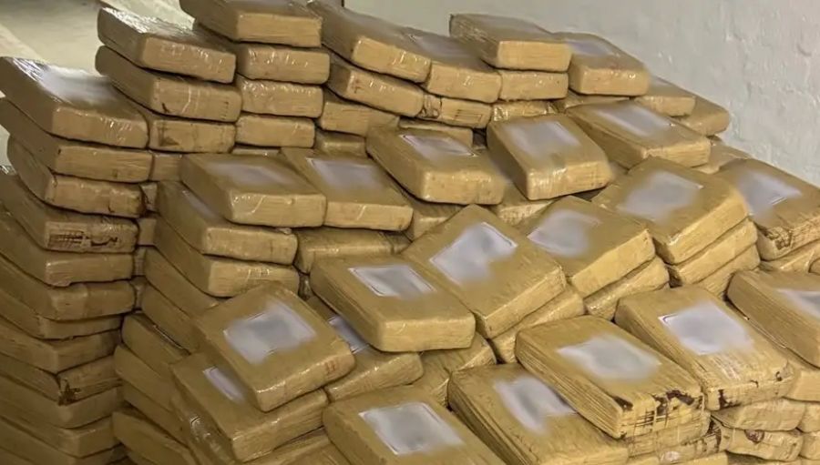 Desmantelan red de narcotráfico en Italia, España y Alemania