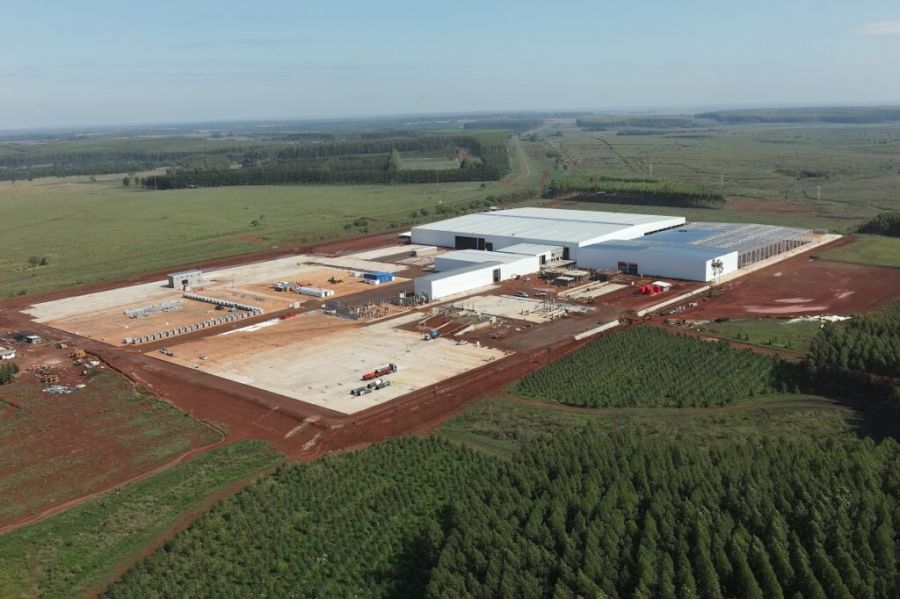 Sector foresto-industrial confían en llegada de nuevas inversiones por el régimen RIGI